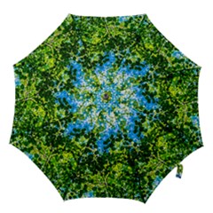 Forest   Strain Towards The Light Hook Handle Umbrellas (large) by FunnyCow
