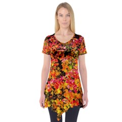 Orange, Yellow Cotoneaster Leaves In Autumn Short Sleeve Tunic  by FunnyCow