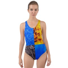 The Fifth Inside Vertical Pattern Cut-out Back One Piece Swimsuit by FunnyCow