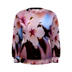 Three Sakura Flowers Women s Sweatshirt by FunnyCow