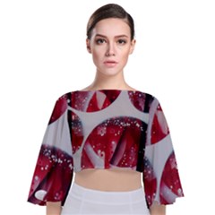 Ecstacy Tie Back Butterfly Sleeve Chiffon Top by WILLBIRDWELL