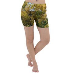 Lightweight Velour Yoga Shorts by SusanFranzblau
