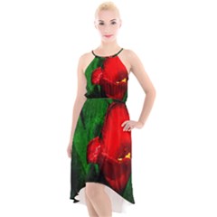 Red Tulip After The Shower High-low Halter Chiffon Dress  by FunnyCow