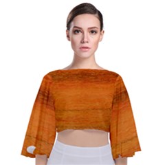 Hades Tie Back Butterfly Sleeve Chiffon Top by WILLBIRDWELL