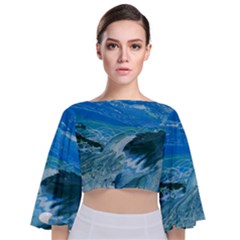 West Coast Tie Back Butterfly Sleeve Chiffon Top by WILLBIRDWELL