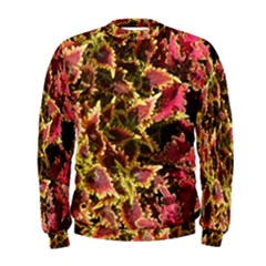 Plant Leaves Foliage Pattern Men s Sweatshirt by Celenk