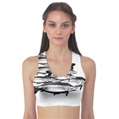 Carp Fish Sports Bra by kunstklamotte023