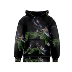 Plums Photo Art Fractalius Fruit Kids  Pullover Hoodie by Sapixe