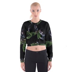 Plums Photo Art Fractalius Fruit Cropped Sweatshirt by Sapixe