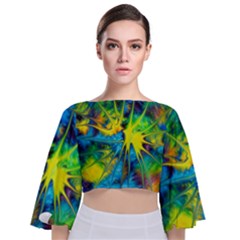 Hbn0001 04 Tie Back Butterfly Sleeve Chiffon Top by HoundB