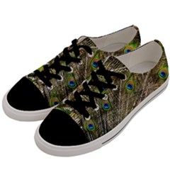 Peacock Feathers Color Plumage Green Men s Low Top Canvas Sneakers by Sapixe