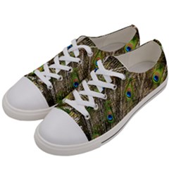 Peacock Feathers Color Plumage Green Women s Low Top Canvas Sneakers by Sapixe