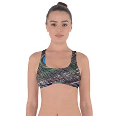 Peacock Tail Feathers Got No Strings Sports Bra by Wegoenart