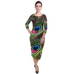 Peacock Feathers Feather Color Quarter Sleeve Midi Velour Bodycon Dress by Wegoenart
