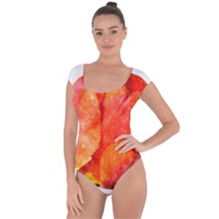 Red Tulip, Watercolor Art Short Sleeve Leotard  by picsaspassion