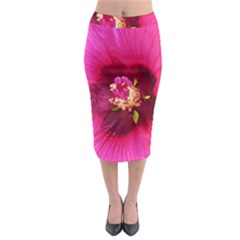 Deep Pink And Crimson Hibiscus Flower Macro Midi Pencil Skirt by myrubiogarden