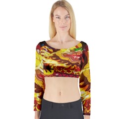 Dragon Lights Ki Rin Long Sleeve Crop Top by Riverwoman
