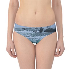 Niagara Falls Hipster Bikini Bottoms by Riverwoman