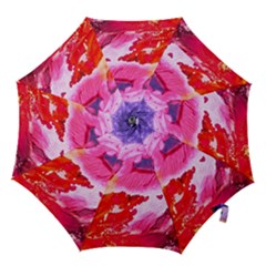 Abstract Art Background Paint Hook Handle Umbrellas (small) by Pakrebo