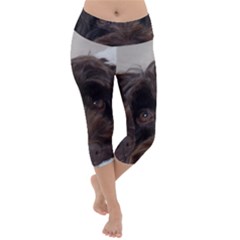 Laying In Dog Bed Lightweight Velour Capri Yoga Leggings by pauchesstore