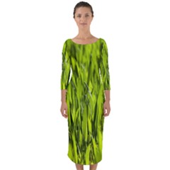 Agricultural Field   Quarter Sleeve Midi Bodycon Dress by rsooll