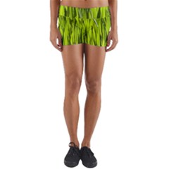 Agricultural Field   Yoga Shorts by rsooll