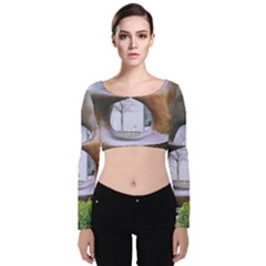 Henry Moore Velvet Long Sleeve Crop Top by Riverwoman
