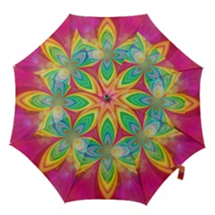 Color Abstract Form Ellipse Bokeh Hook Handle Umbrellas (small) by Pakrebo