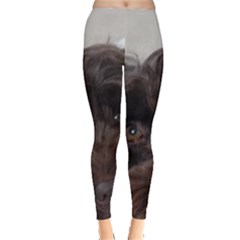 Laying In Dog Bed Leggings  by pauchesstore