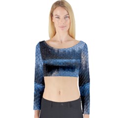Mountain Glass Long Sleeve Crop Top by snowwhitegirl
