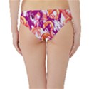 Flamingos Hipster Bikini Bottoms View2