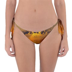 Sunset Reflection Birds Clouds Sky Reversible Bikini Bottom by HermanTelo