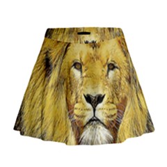 Lion Lioness Wildlife Hunter Mini Flare Skirt by Pakrebo