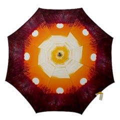 Sun Evening Sunset Sky Landscape Hook Handle Umbrellas (large) by Pakrebo