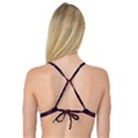 Fractal Mathematics Generated Reversible Tri Bikini Top View2