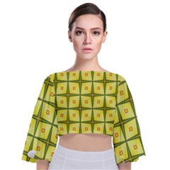Background Pattern Gold Tie Back Butterfly Sleeve Chiffon Top by Bajindul