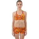 Pumpkin Halloween Fall Thanksgiving Back Web Gym Set View1