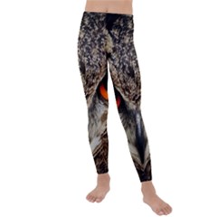 Owl Bird Eyes Eagle Owl Birds Kids  Lightweight Velour Leggings by Wegoenart