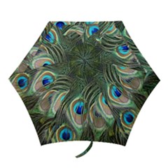 Peacock Feathers Peacock Bird Mini Folding Umbrellas by Wegoenart