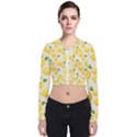 Fruits Template Lemons Yellow Long Sleeve Zip Up Bomber Jacket View1