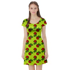 Red Roses Lime Green Short Sleeve Skater Dress by snowwhitegirl