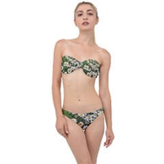 Columbus Commons Shasta Daisies Classic Bandeau Bikini Set by Riverwoman