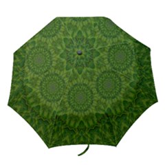 Fauna Nature Ornate Leaf Folding Umbrellas by pepitasart