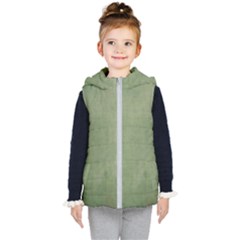 Background 1215199 960 720 Kids  Hooded Puffer Vest by vintage2030