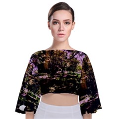 Hot Day In Dallas 3 Tie Back Butterfly Sleeve Chiffon Top by bestdesignintheworld