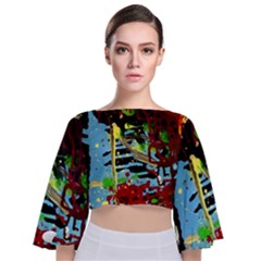 York 1 4 Tie Back Butterfly Sleeve Chiffon Top by bestdesignintheworld