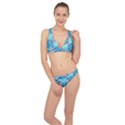 Pineapples Classic Banded Bikini Set  View1