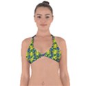 Ab 60 Halter Neck Bikini Top View1