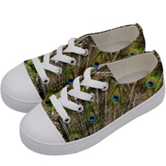 Peacock Feathers Color Plumage Green Kids  Low Top Canvas Sneakers by Sapixe