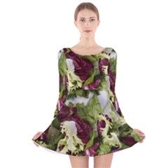 Salad Lettuce Vegetable Long Sleeve Velvet Skater Dress by Sapixe